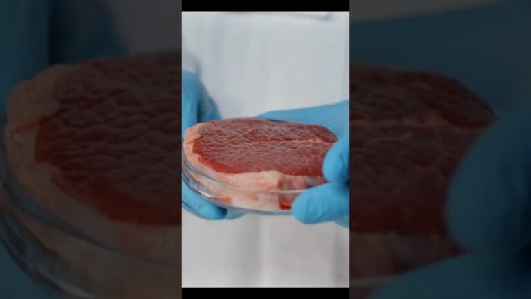 La Révolution de la Viande Cultivée : Vers une Alimentation Durable et Éthique