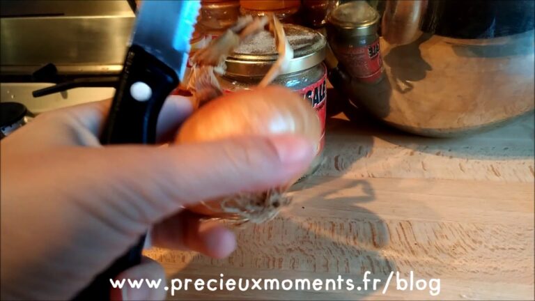 Rougail saucisse au Cookeo : un guide pratique pour maîtriser cette spécialité créole